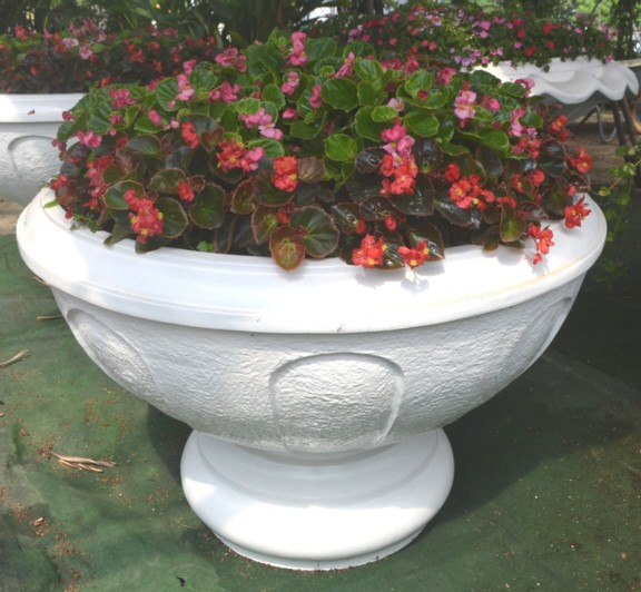 Fibre Glass Pot